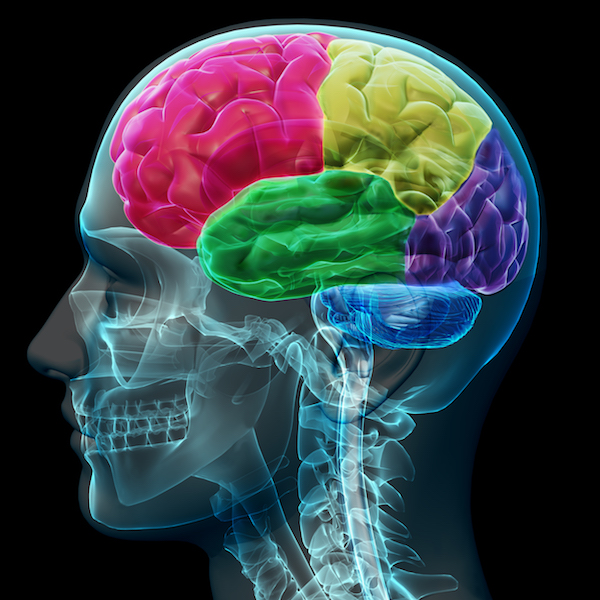 Brainspotting – jak to działa ?